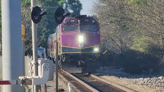 The CapeFLYER Locomotive changed F40PH3C 1056 Leads the 67 CapeFLYER Train thru Plain Street [upl. by Arais495]