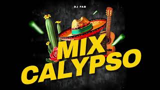 DJ FAB  MIX CALYPSO 2024 [upl. by Iago]