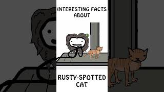 quotInteresting Facts about Rustyspotted catquot rusty spotted cat animals cat doyouknow shorts [upl. by Ahsemed605]