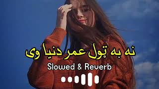 Na ba tool Umer Dunya we na ba tool Umer Zwane  A Ghani Ghani Ghani  poshto slowed amp Reverb song [upl. by Anrapa]