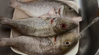 Fish cleaning and scale  ASMR  fish  Interesting video [upl. by Anavi599]