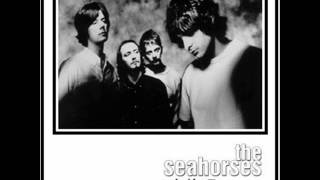 THE SEAHORSES  SUICIDE DRIVE [upl. by Tiler]