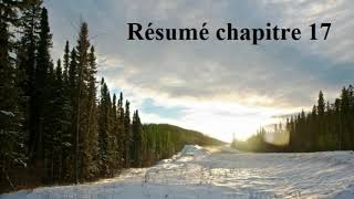 Chapitre 17 résumé  Le règne de la haine  Croc Blanc de Jack London [upl. by Hellah205]