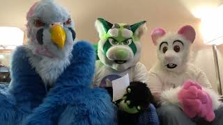 FursuitFriday Anthrocon Day 1 experiences wAzurean amp TeddyDeadrat [upl. by Awahsoj]