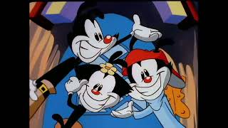 Animaniacs  Slappy Squirrel Intro Nederlands [upl. by Alilad]