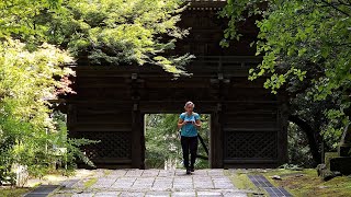 Backpacking Along Japans Shikoku Pilgrimage Trail Hiking An Ancient Buddhist Path [upl. by Hillell]