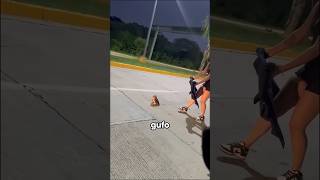 TROVANO UN PICCOLO GUFO E…🦉🥹animals viralvideo viralshorts life help cute [upl. by Alodi76]