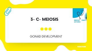 Meiosis  CHAPTER1 GONAD DEVELOPMENT [upl. by Audun]