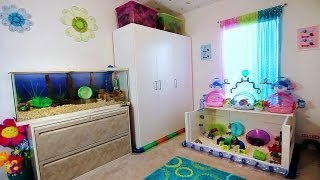 HAMSTER ROOM TOUR  FROZEN [upl. by Frazer]