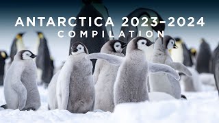 Antarctica 20232024 Compilation [upl. by Keil]