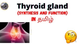 Thyroid gland Thyroid hormonesynthesis functionmedicos tamizha🤔 [upl. by Amick]