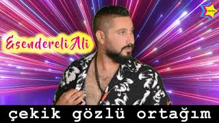 ÇEKİK GÖZLÜ ORTAĞIM ORIGINAL AUDIO ROMAN HAVASI [upl. by Sevy]