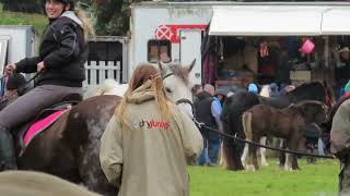 Horses Specators and Acrobats at Ballinasloe Horse Fair [upl. by Ellezig903]