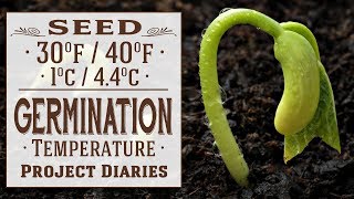 ★ Seeds That Germinate at 30°f  40°f Temperature Sowing Seeds amp Sprouting Times [upl. by Lamak]