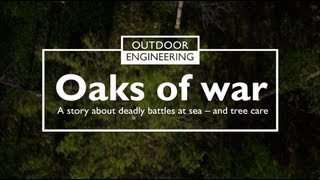 Oaks of war by Husqvarna A film about Husqvarna Chainsaws oaks and tree care at Visingsö [upl. by Buskus]