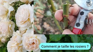 Comment tailler le rosier afin dobtenir de belles fleurs  2024 [upl. by Doralynn]