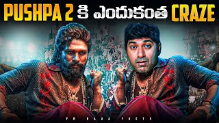 Pushpa 2 Movie Craze Business Strategy Explained  Allu Arjun Sukumar  Telugu  VR Raja Facts [upl. by Jolanta]