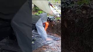 ☔ AMAZING IN HEAVY RAIN ⛈️  ASMR shorts​ rain​ heavyrain outdoors camping solocamping [upl. by Ycart]