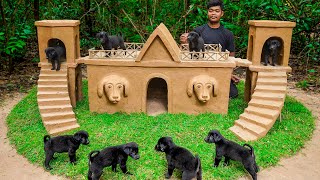 Dog rescue and building mud dog house for puppies [upl. by Neeron]