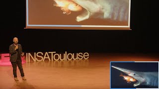 Abysses du bruit dans le monde du silence  Olivier Lascar  TEDxINSAToulouse [upl. by Eldin]