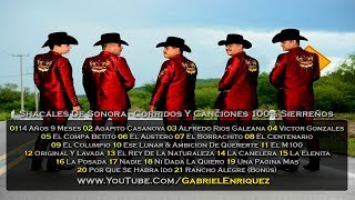 Shacales De Sonora  Puros Corridos Y Rancheras 100 Sierreños DISCO COMPLETO [upl. by Freddy123]