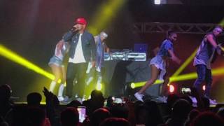 Gasolina  Daddy Yankee en vivo [upl. by Bambie]