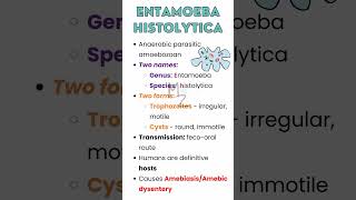 ENTAMOEBA HISTOLYTICA in detail ameba medzukhruf parasitology parasite medicalmicrobiology [upl. by Cassaundra196]