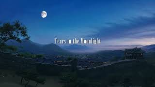 JOURNEY to Ancient Korea Ambient Music quotTears in the Moonlightquot [upl. by Acinorehs]