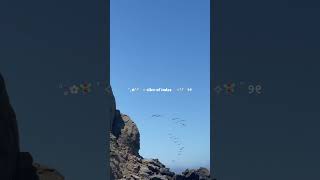 Best Beach this Summer  Big Sur  Pfeiffer Beach beach travel california vacation familytravel [upl. by Ayoral]