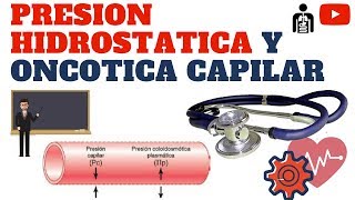 PRESIÓN HIDROSTATICA Y PRESION ONCOTICA CAPILAR [upl. by Margarete660]