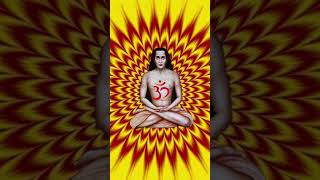 Mahavatar Babaji [upl. by Notniuq]