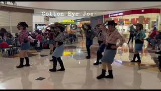 Cotton Eye Joe line dance 💃 [upl. by Nnasus]