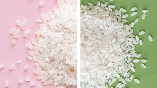 Short VS Medium Grain Japanese Rice [upl. by Wesa875]