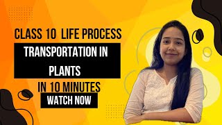 Transportation in plants Class 10 Life process Science NCERT CBSE [upl. by Friday311]