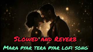 Mera Pyar Tera Pyar  Lofi Song  Arijit Singh  Varun amp Rhea [upl. by Camila]