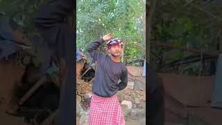 Gadi na ghoda jaaye 😍👆🥰🤩reels viralvideo shortvideo [upl. by Adiell125]