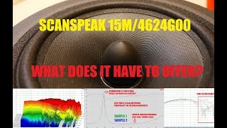 DIY Midrange  Scanspeak 15M4624g00 Test and Review [upl. by Belia]