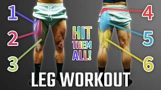 The Best ScienceBased Leg Day For Growth QuadsGlutesHamstrings  PUSH PULL LEGS SERIES [upl. by Shaine638]