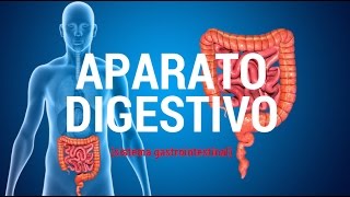 Aparato digestivo sistema gastrointestinal [upl. by Noseimaj]