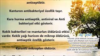 Antifungal Mikrop Öldürücü Antibakteriyel ve Antiseptik Özelliği Olan Bitkiler Hangileridir [upl. by Heydon]