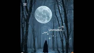 UnmadiniBhathiya N SantushCover By L Abeywardana🤍🤍 [upl. by Oiredised]