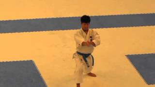 Koji Arimoto performs kata Kankudai [upl. by Docile955]