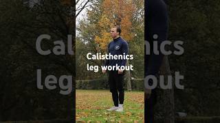 Calisthenics Leg Workout No Weights [upl. by Kone]