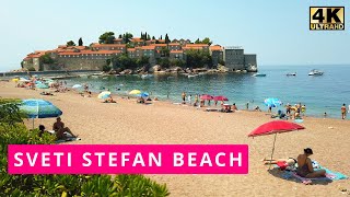 🌴Sveti Stefan Elite Beach🌞Budva🏖️Montenegro🇲🇪2024🚶🏻‍♂️Walking tour📷4K60 [upl. by Macgregor505]