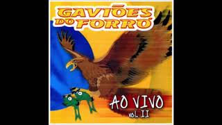 Gaviões do Forró  Volume 2 [upl. by Nita81]