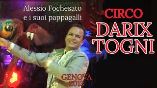 Alessio Fochesato e i suoi pappagalli al Circo Darix Togni  Genova 2013 [upl. by Atiuqan]