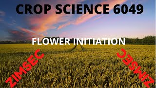 Flower initiation in plants [upl. by Trainor]