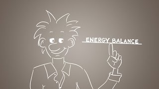 Energiebilanz erklärt [upl. by Alhsa601]