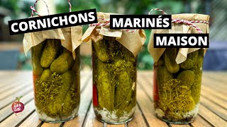 CORNICHONS MARINÉS MAISON 🥒 Meilleure recette pickle [upl. by Anaerb]