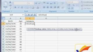 Categorising Excel Data using VLOOKUP [upl. by Artinak447]